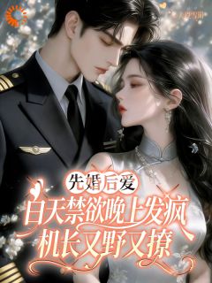 白天禁欲晚上发疯，机长又野又撩