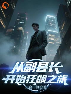 从副县长开始狂飙之旅