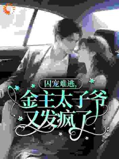 囚宠难逃，金主太子爷又发疯了