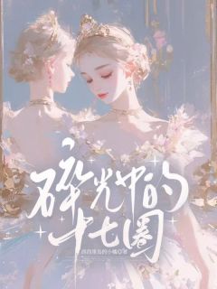 碎光中的十七圈