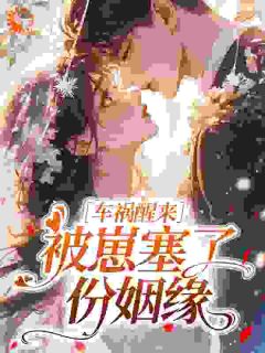车祸醒来，被崽塞了份姻缘