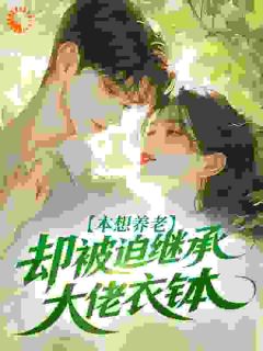 28岁退休养老，我成了豪门团宠