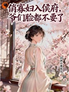 俏寡妇入侯府，爷们脸都不要了