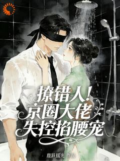 撩错人！京圈大佬失控掐腰宠