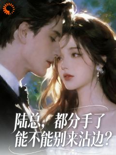 接受分手事实后，前任总裁后悔了