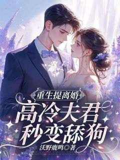 重生提离婚，高冷夫君秒变舔狗