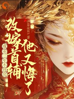 成亲三年不同房，改嫁首辅又悔了