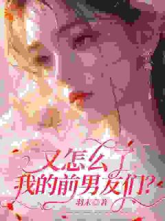 又怎么了我的前男友们？