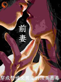 穿成赘婿文男主的顶美恶毒前妻
