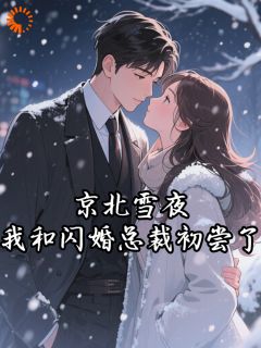 京北雪夜，我和闪婚总裁初尝了