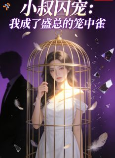 小叔囚宠：我成了盛总的笼中雀