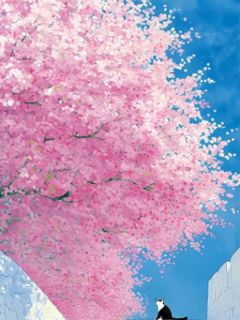 出差半年，邻居把我家过道爆改成马桶间