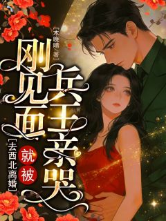 去西北离婚，刚见面就被兵王亲哭