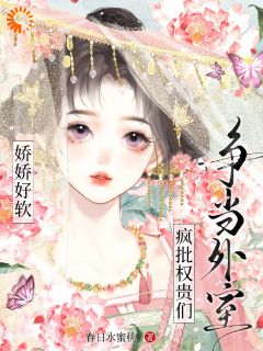 穿越后成亲，疯批权贵求我纳侧夫？