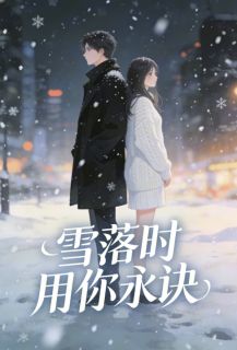 雪落时用你永诀