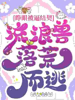 睁眼被逼结契，流浪兽落荒而逃