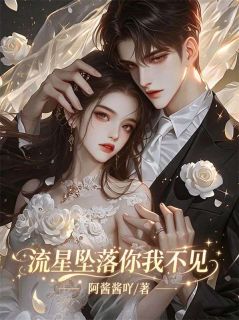 流星坠落你我不见