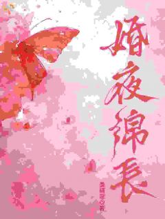 婚夜绵长