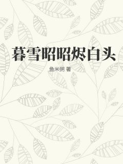 暮雪昭昭烬白头
