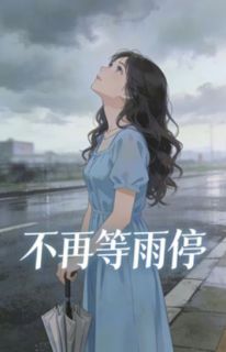 不再等雨停