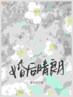 婚后晴朗无弹窗在线阅读