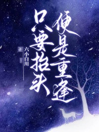 只要抬头，便是重逢