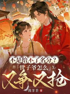 不是给不了名分？世子爷怎么又争又抢