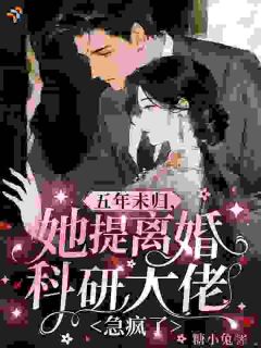 五年未归，她提离婚科研大佬急疯了