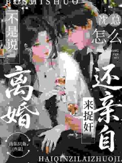 不是说离婚，沈总怎么还亲自来捉奸