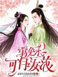 丹帝赘婿第一季