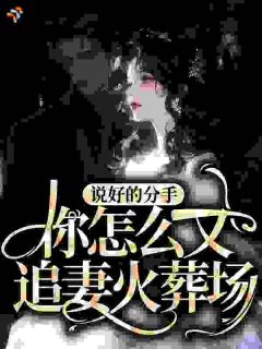 说好的分手，你怎么又追妻火葬场？