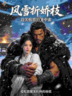 风雪折娇枝：边关痞将的笼中雀