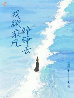 我欲乘风铮铮去