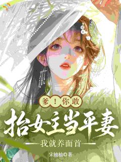 爹！你敢抬女主当平妻我就养面首