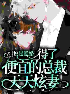 说是隐婚，得了便宜的总裁天天炫妻