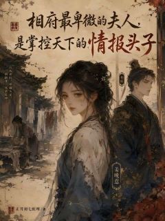 相府最卑微的夫人，是掌控天下的情报头子
