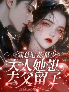 霸总追妻：慕少，夫人她想去父留子