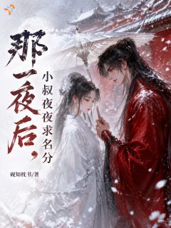 那夜之后，小叔夜夜求名分