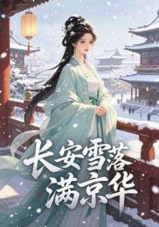 长安雪落满京华