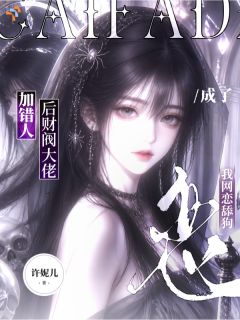 加错人后财阀大佬成了我网恋舔狗