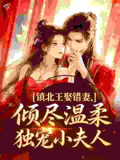 镇北王娶错妻，倾尽温柔独宠小夫人