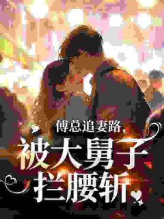 傅总追妻路，被大舅子拦腰斩