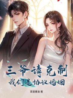三爷请克制，我们是协议婚姻