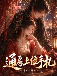 通房上位手札