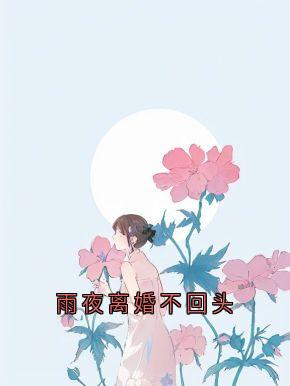 雨夜离婚不回头
