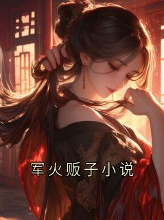 军火贩子小说