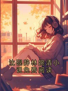 沈砚辞林婉清小说免费阅读