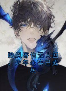 晚风寄信无人回，少年心事已成灰