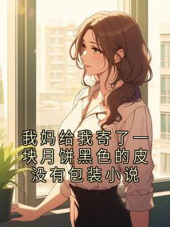 我妈给我寄了一块月饼黑色的皮没有包装小说
