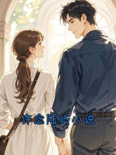 许念陆屿小说
